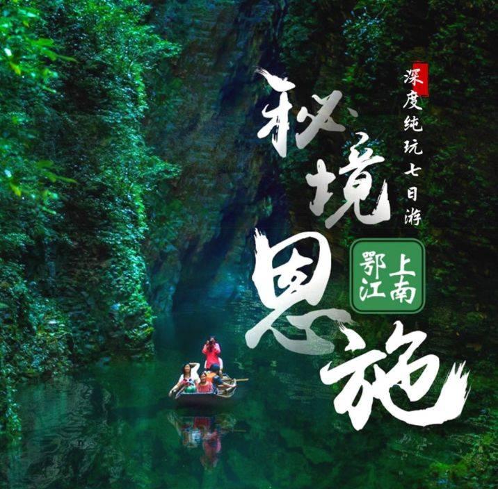 你最讨厌别人对你的狗狗干什么?-专业有问必答平台